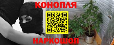 винт Нальчик